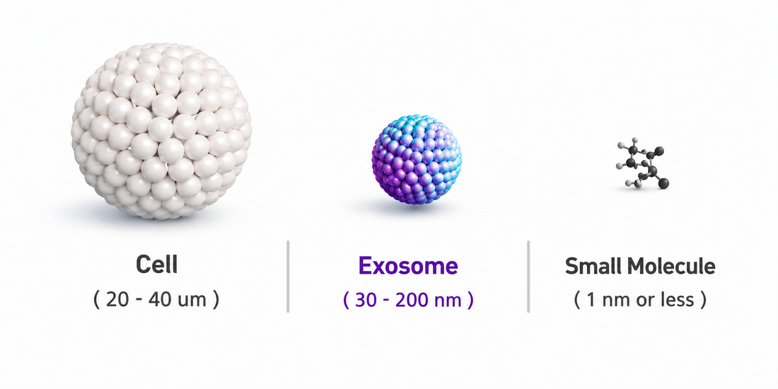 You Buy the Technology, Not the Cosmetic | How Exosomes Opened Skincare's Next Market — and Why It's Moving Into Home Care